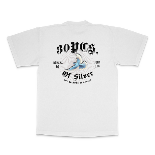 30 pcs of silver Catholic brand logo with blue dove on back of white unisex heavyweight tee