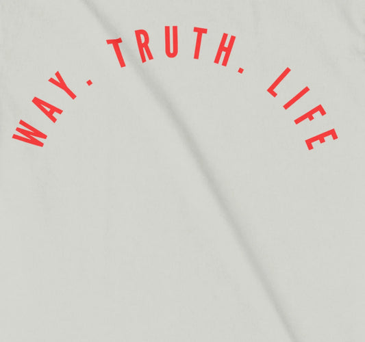 Way Truth Life Heavyweight Tee | 30 PCS. Of Silver | - 30 Pcs of Silver