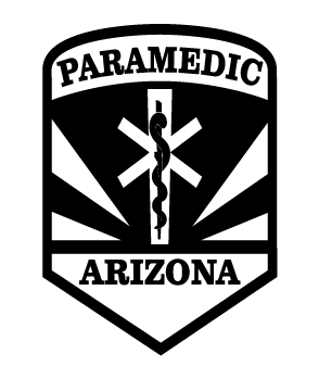 Paramedic Patch - 30 Pcs of Silver 